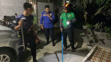 Ular Kobra Masuk Dapur Rumah Warga di Muara Teweh