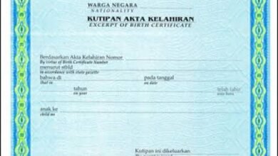 Panduan Lengkap Mengurus Akta Kelahiran Anak Secara Online