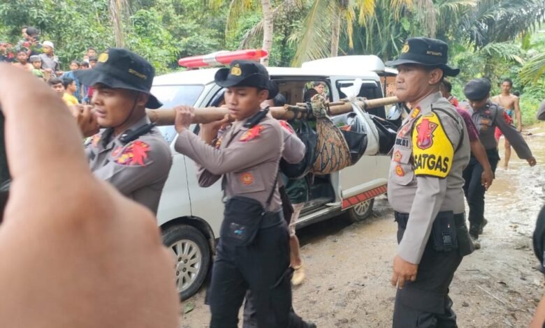 Tim SAR Gabungan Evakuasi Korban Longsor di Tambang Emas Ilegal Tim SAR Gabungan Evakuasi Korban Longsor di Tambang Emas Ilegal