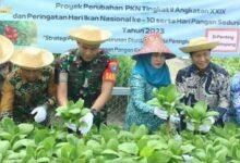 Pemkab Barito Utara Panen Bersama Peringati Hari Pangan Sedunia dan Hari Ikan