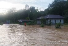 Banjir Terjang Km 36 Muara Teweh-Puruk Cahu, 15 Rumah Terendam