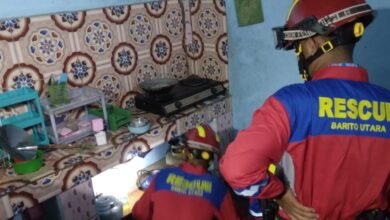 Ular Masuk Rumah Warga Pangkuraya, Damkar Evakuasi