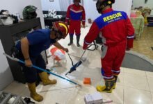 Lagi-lagi, Ular Kobra Masuk Kedalam Rumah Warga