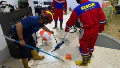 Lagi-lagi, Ular Kobra Masuk Kedalam Rumah Warga