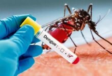 Inovasi Wolbachia, Cara Ampuh dan Hemat Kendalikan Demam Berdarah