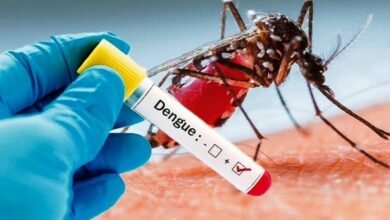 Inovasi Wolbachia, Cara Ampuh dan Hemat Kendalikan Demam Berdarah
