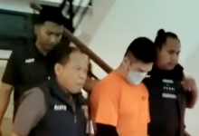 Pekerja Tewas Diterkam Harimau, Pemilik dijerat Pasal Berlapis