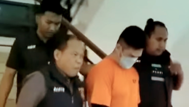Pekerja Tewas Diterkam Harimau, Pemilik dijerat Pasal Berlapis