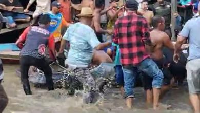 Buaya Besar Terkam Bocah di Sungai Arut, Korban Masih Dicari