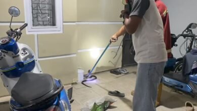 King Kobra Teror Warga Teweh Tengah, Damkar Turun Tangan