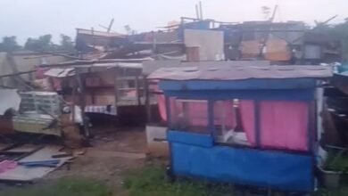 Angin Kencang Terjang Kapuas, Rumah Rusak dan Pohon Tumbang