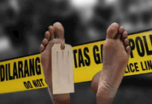 Narkoba Jadi Pemicu Pembunuhan di Perkebunan Sawit
