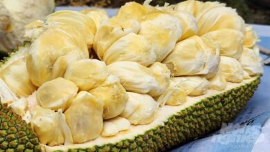 5 Manfaat Buah Nangka yang Tak Terduga, Bisa Bantu Turunkan Berat Badan Lho!