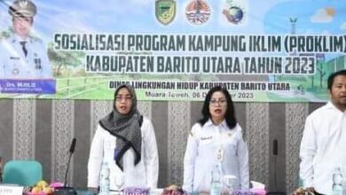 Kampung Iklim, Upaya Masyarakat Tingkatkan Ketahanan Lingkungan