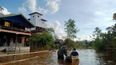 Banjir Rendam 150 Rumah di Batu Tuhup, Babinsa Bantu Evakuasi Warga