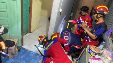 Ular Kobra di Rumah Warga Berhasil Dievakuasi oleh Damkar