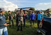 Kodim 1013/Mtw Dukung Petani Jagung Lokal dengan Teknologi Modern