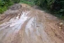 Hati-hati, Banyak Kubangan Lumpur di Jalan Nasional Lampeong-Batas Kaltim