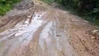 Hati-hati, Banyak Kubangan Lumpur di Jalan Nasional Lampeong-Batas Kaltim