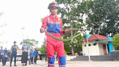 Tegang! Petugas Damkar Evakuasi Ular Viper Hijau di Meubel