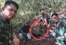 Torpedo Perang Dunia II Ditemukan di Hutan Penajam