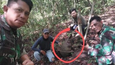Torpedo Perang Dunia II Ditemukan di Hutan Penajam