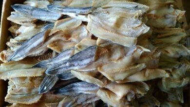 Manfaat Ikan Asin untuk Kesehatan, dari Menjaga Tulang hingga Meningkatkan Imun