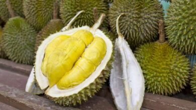 Durian, Raja Buah yang Harus Dikonsumsi dengan Bijak