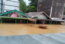 Waspada Banjir! Desa Haragandang Terendam Air, Ketinggian Capai 150 Cm
