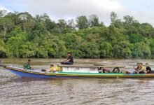 Melawan Arus, Demi Hak Pilih di Ujung Sungai