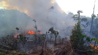 Akibat Kebakaran Lahan di Jambu, 0,93 Hektar Hangus