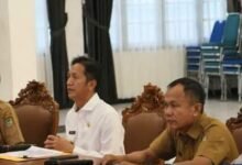 Pj. Bupati Barito Utara Ikuti Rapat Asistensi Evaluasi Kinerja Triwulan II