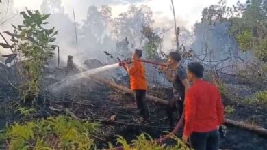 Kronologi Kebakaran Lahan di Teweh Baru, 0,64 Hektar Lahan Hangus