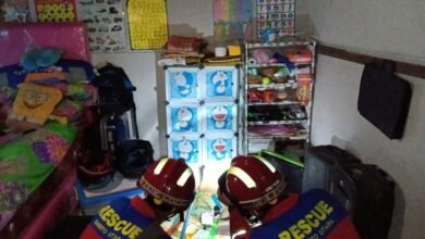 Ular King Kobra 3 Meter Nyasar ke Kamar Tidur, Pemilik Rumah Panik Tak Karuan