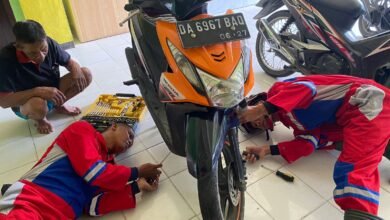 Suara Desahan Menyelamatkan Kucing, Mila Bersyukur Tim Damkar Turun Tangan