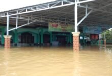 Banjir Rendam Kota Muara Teweh, Aktivitas Warga Lumpuh