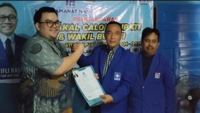 Menuju Pilkada Kapuas, Dealdo Dwirendragraha Bahat Lamar PAN dan PPP