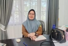 Peluang Besar, 3.424 Formasi CPNS dan PPPK Menanti di Barito Utara