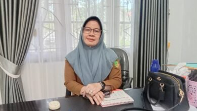 Peluang Besar, 3.424 Formasi CPNS dan PPPK Menanti di Barito Utara