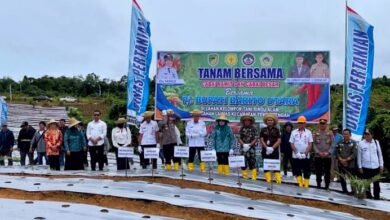Pj Bupati Barito Utara Tanam Bersama Cabai Rawit dan Cabai Besar