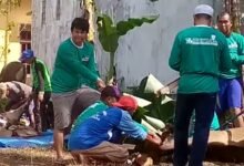 Tradisi Qurban di Langgar Ar Raudah, 4 Hewan Qurban Dibagikan untuk 350 Warga