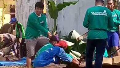 Tradisi Qurban di Langgar Ar Raudah, 4 Hewan Qurban Dibagikan untuk 350 Warga