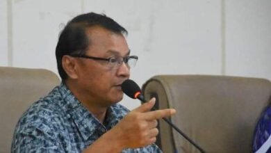 Semarak Hari Jadi ke-74 Kabupaten Barito Utara: Event dan Hiburan Rakyat Siap Digelar, Ini Jadwal Lengkapnya