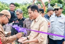 Membuka Keterisolasian Pj. Bupati Barito Utara Resmikan Jembatan Sei Intu di Desa Haragandang