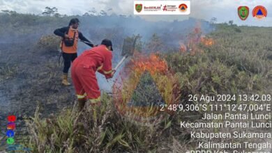 Karhutla di Kalteng: Sepuluh Kasus Teridentifikasi, Upaya Pemadaman Terus Dilakukan