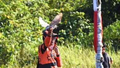 Lomba Merpati Kolong Nasional Hadir Pertama Kali di Muara Teweh