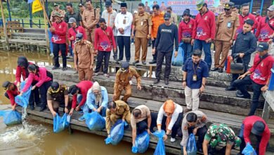 Pj Bupati Barito Utara Ajak Semua Pihak Bergandengan Tangan dalam Restoking Benih Ikan di DAM Trinsing