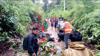 Duka di Desa Nihan Hulu, Warga Tewas Tertimpa Kayu Besar di Tengah Jalan