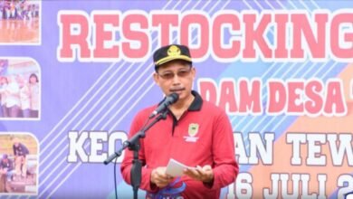 Dinas Ketahanan Pangan dan Perikanan Barito Utara Restoking 74 Ribu Benih Ikan