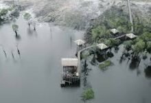 Wisata Alam Teluk Sebongkok, Destinasi Baru di Kalimantan Tengah yang Memukau dengan Keindahan Alaminya